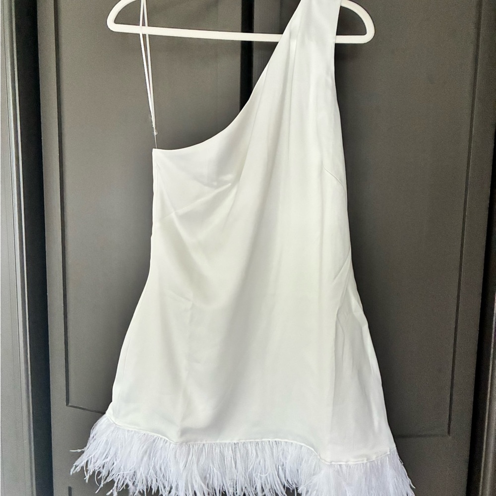 NWT Birdy Grey White One Shoulder Satin Feather Dress
